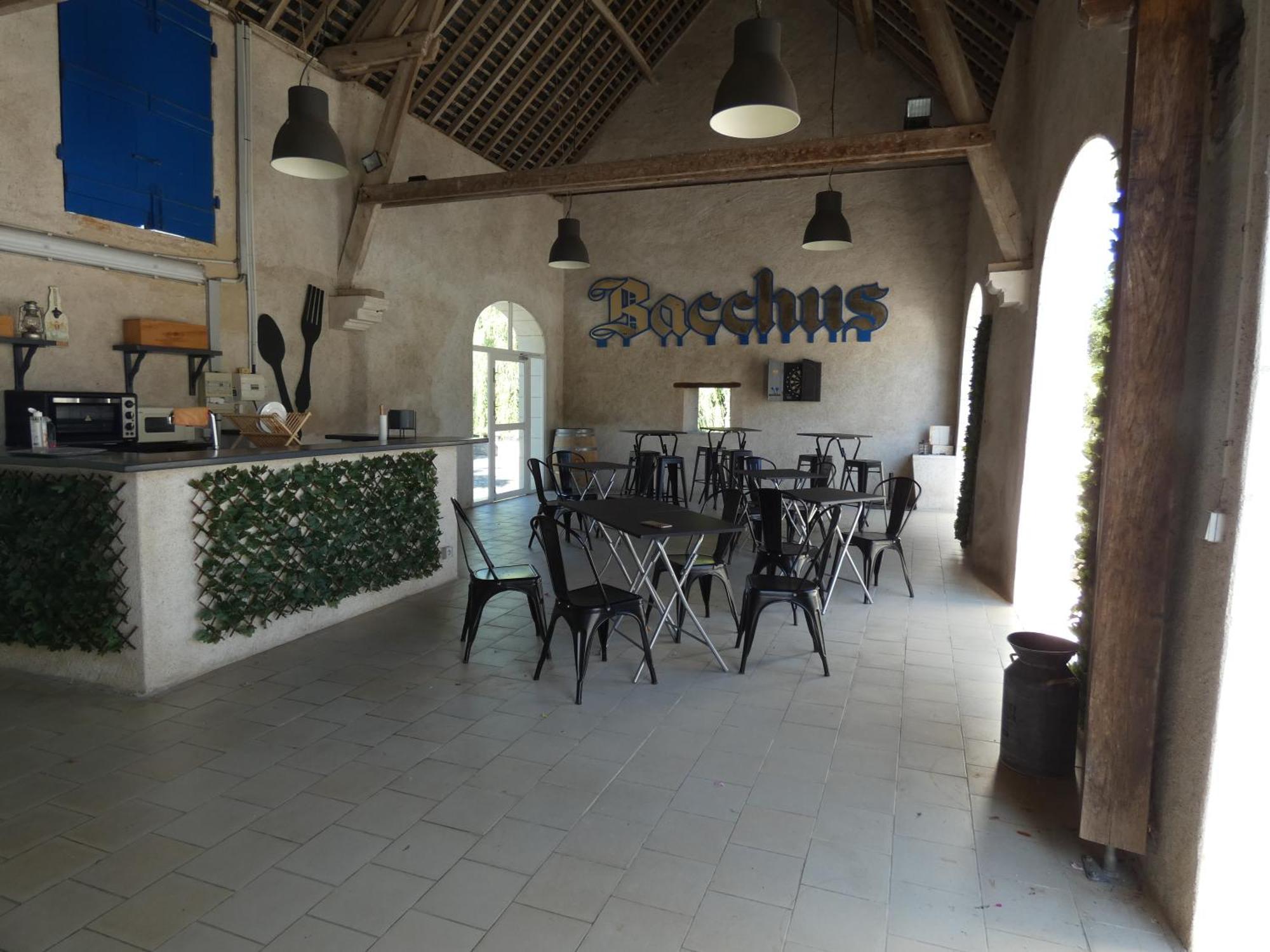 Moulin De Bacchus - Chateaux De La Loire Chançay Екстериор снимка